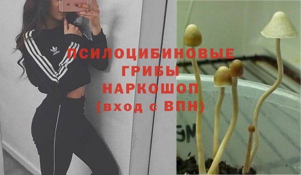 MESCALINE Касимов