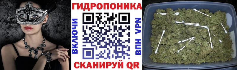 Конопля планчик  Купить где  Лангепас 